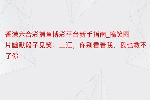 香港六合彩捕鱼博彩平台新手指南_搞笑图片幽默段子见笑：二汪，你别看着我，我也救不了你