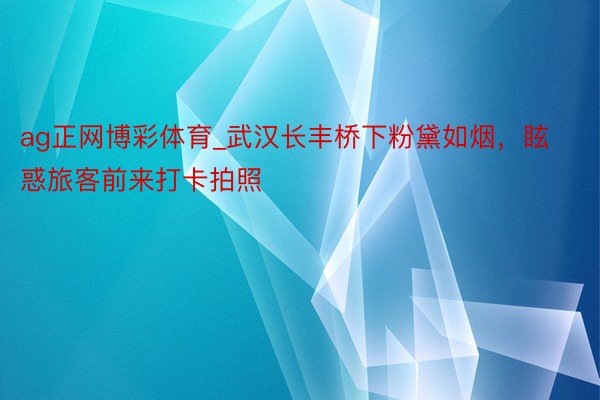 ag正网博彩体育_武汉长丰桥下粉黛如烟，眩惑旅客前来打卡拍照